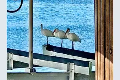 410 Cristobal Street, Naples, FL 34113 - Photo 75