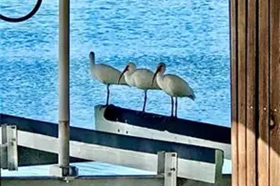 410 Cristobal St, Naples, FL 34113 - Photo 75