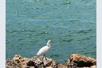 410 Cristobal Street, Naples, FL 34113 - Photo 65