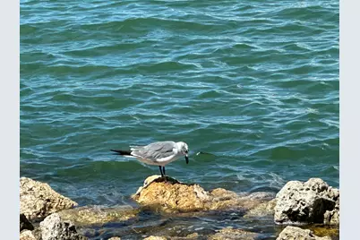 410 Cristobal Street, Naples, FL 34113 - Photo 123