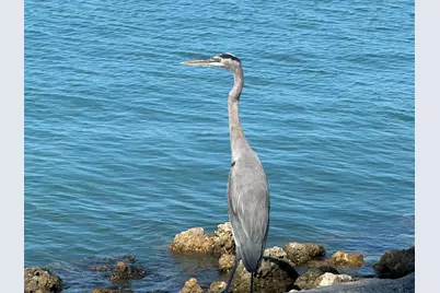 410 Cristobal Street, Naples, FL 34113 - Photo 61