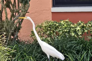 1532 Mainsail, Naples, FL 34114 - Photo 55