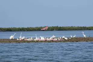 111 Newport Cay, Naples, FL 34114 - Photo 49