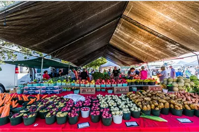 1256 Bluebird Avenue, Marco Island, FL 34145 - Photo 15