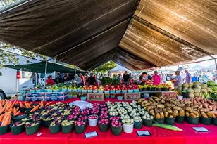 1256 Bluebird Ave, Marco Island, FL 34145 - Photo 15