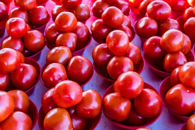 1256 Bluebird Avenue, Marco Island, FL 34145 - Photo 17