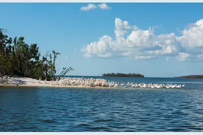 365 Stella Maris Drive N #2902, Naples, FL 34114 - Photo 41