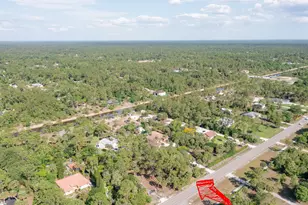 260 8th St NE, Naples, FL 34120 - Photo 59