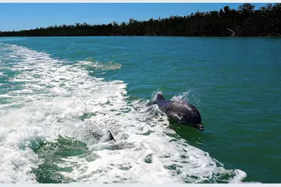 6 Tahiti Road, Marco Island, FL 34145 - Photo 15