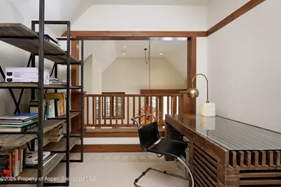 58 Exhibition Lane, Aspen, CO 81611 - Photo 17