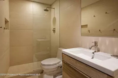 58 Exhibition Lane, Aspen, CO 81611 - Photo 29