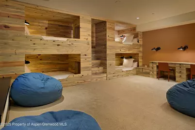 58 Exhibition Lane, Aspen, CO 81611 - Photo 27