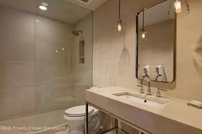 58 Exhibition Lane, Aspen, CO 81611 - Photo 25