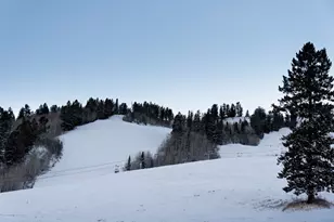 204 Oregon Trail, Aspen, CO 81611 - Photo 33