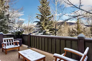 204 Oregon Trail, Aspen, CO 81611 - Photo 29
