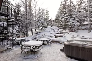 204 Oregon Trail, Aspen, CO 81611 - Photo 31