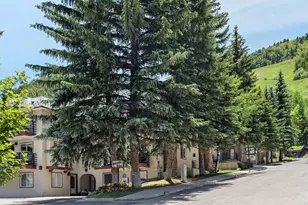 [Address not provided], Aspen, CO 81611 - Photo 21