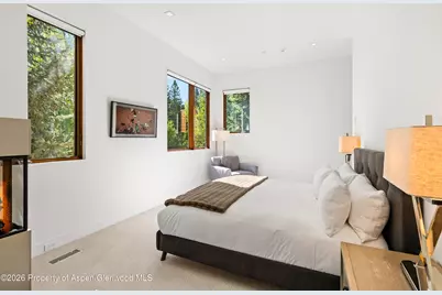 745 Castle Creek Drive, Aspen, CO 81611 - Photo 15