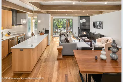 1034 E Cooper Avenue #24, Aspen, CO 81611 - Photo 5