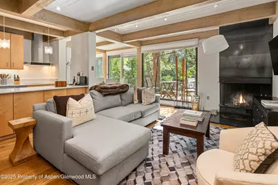 1034 E Cooper Avenue #24, Aspen, CO 81611 - Photo 3