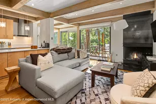 1034 E Cooper Ave, Aspen, CO 81611 - Photo 3