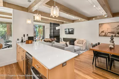 1034 E Cooper Avenue #24, Aspen, CO 81611 - Photo 9