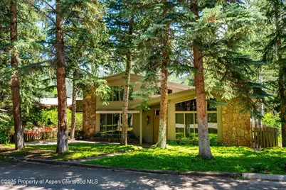 627 S Original Street, Aspen, CO 81611 - Photo 27