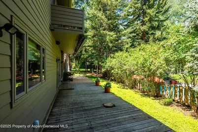 627 S Original Street, Aspen, CO 81611 - Photo 41