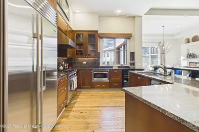 501 Rio Grande Place #Unit 204, Aspen, CO 81611 - Photo 15