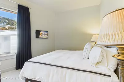 501 Rio Grande Place #Unit 204, Aspen, CO 81611 - Photo 23