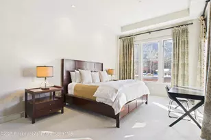 501 Rio Grande Pl, Aspen, CO 81611 - Photo 19