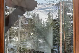 81 Thunderbowl Ln, Aspen, CO 81611 - Photo 49