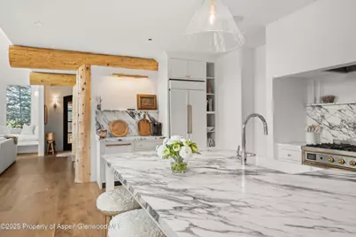 1495 Homestake Drive #2, Aspen, CO 81611 - Photo 25