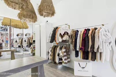 531 E Cooper Avenue #Unit 2, Aspen, CO 81611 - Photo 3