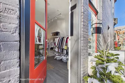 531 E Cooper Avenue #Unit 2, Aspen, CO 81611 - Photo 9