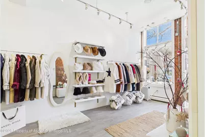 531 E Cooper Avenue #Unit 2, Aspen, CO 81611 - Photo 5