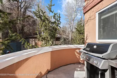 777 Ute Avenue #6, Aspen, CO 81611 - Photo 19