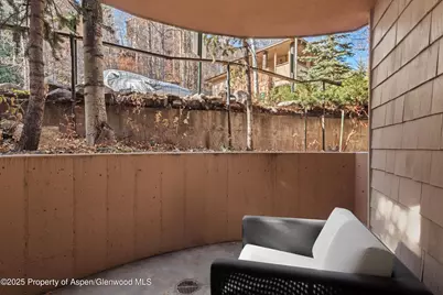 777 Ute Avenue #6, Aspen, CO 81611 - Photo 21