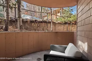 777 Ute Ave, Aspen, CO 81611 - Photo 21