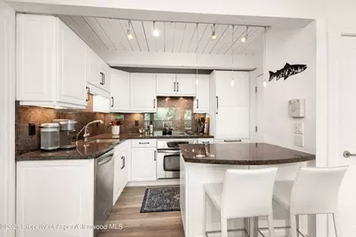 916 E Hopkins Avenue #204, Aspen, CO 81611 - Photo 3