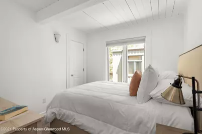 916 E Hopkins Avenue #204, Aspen, CO 81611 - Photo 7