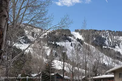 901 E Hyman Avenue #1, Aspen, CO 81611 - Photo 9