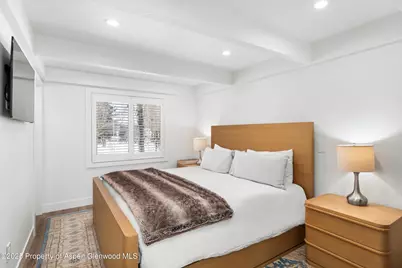 901 E Hyman Avenue #1, Aspen, CO 81611 - Photo 3