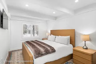 901 E Hyman Ave, Aspen, CO 81611 - Photo 3