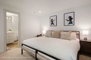 314 Mountain Laurel Dr, Aspen, CO 81611 - Photo 13