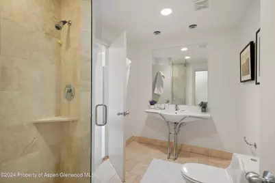 314 Mountain Laurel Drive, Aspen, CO 81611 - Photo 21