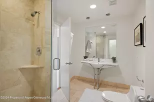 314 Mountain Laurel Dr, Aspen, CO 81611 - Photo 21