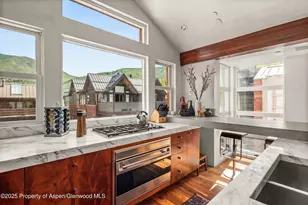 706 E Hyman Ave, Aspen, CO 81611 - Photo 19