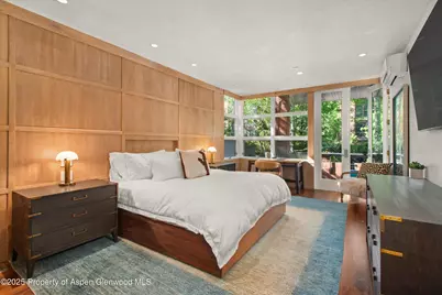 706 E Hyman Avenue #706, Aspen, CO 81611 - Photo 25