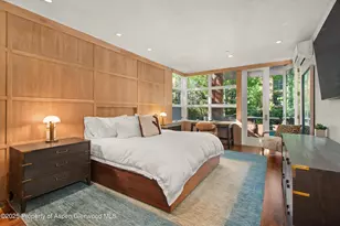 706 E Hyman Ave, Aspen, CO 81611 - Photo 25